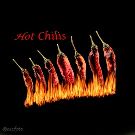 Hot Chilis.jpg